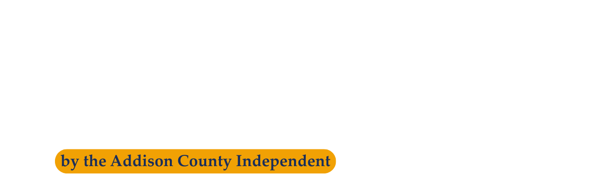 idm logo w addy indy